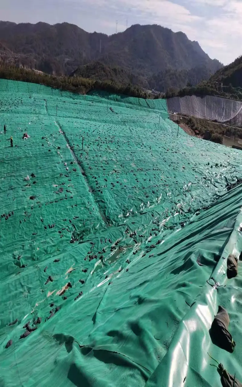 geomembrane green and black.webp